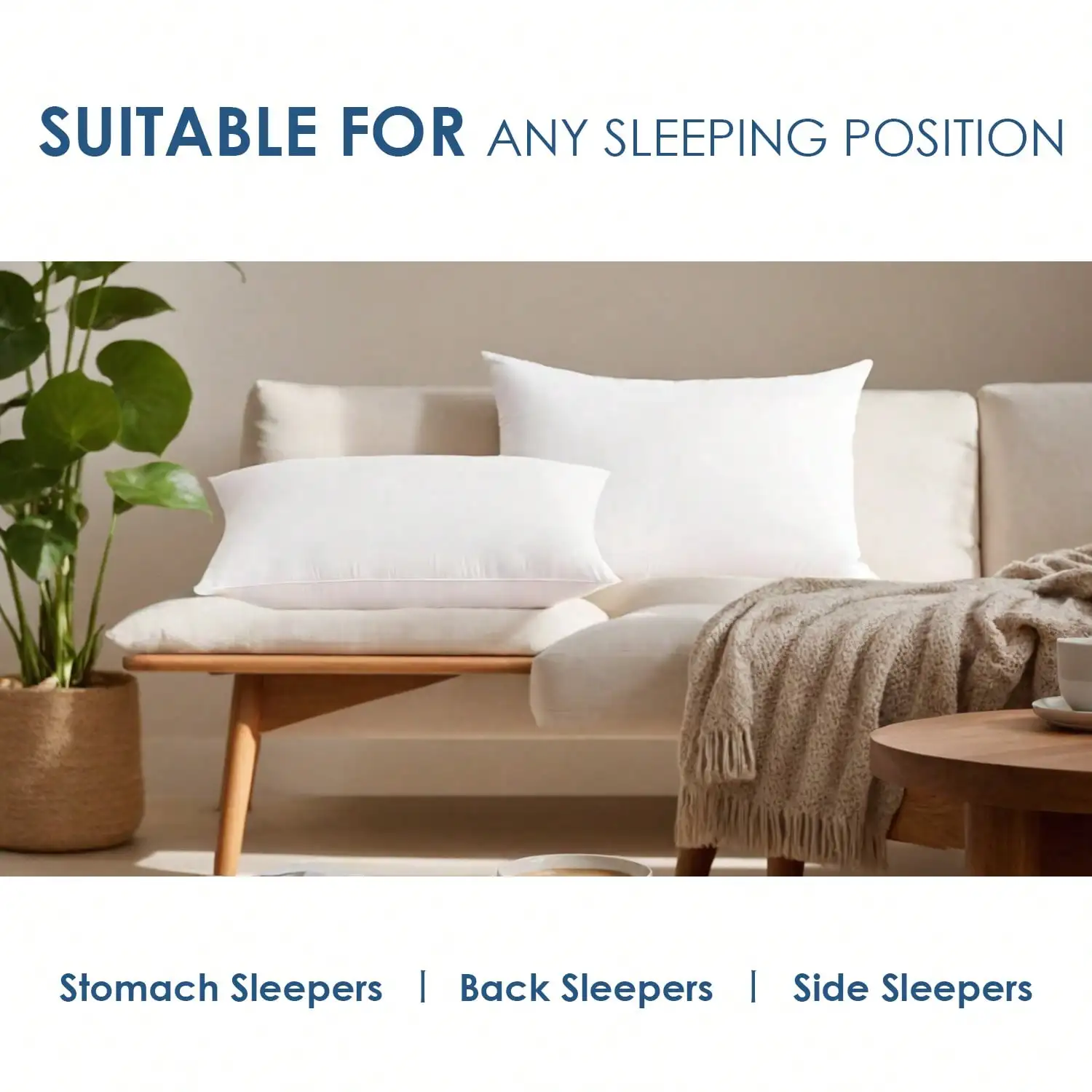 2‑Pack & 4‑Pack 12x20 18x18 De - Pillow Insert 18X18 review and price